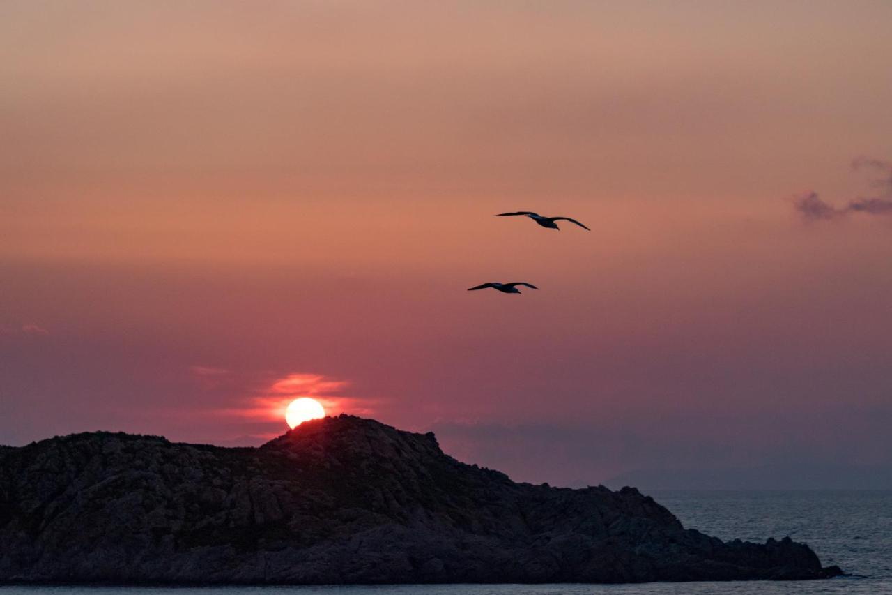 Il Giardino Degli Ulivi Bed and Breakfast Santa Maria Εξωτερικό φωτογραφία